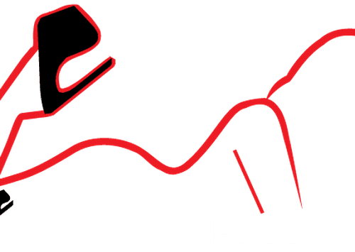 mumbaivipescort logo